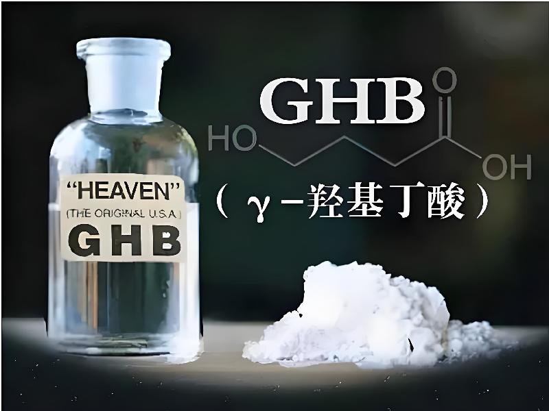 催药迷用3189-gB型号